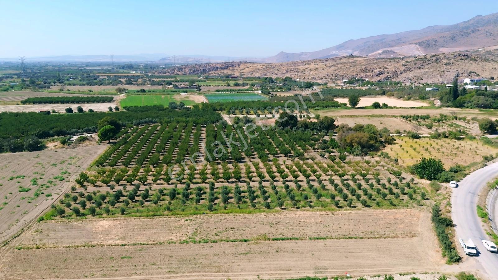 Doğaköy'de Satılık 2946m2 Kayısı Bahçesi Anayola Cepheli - Görsel 4