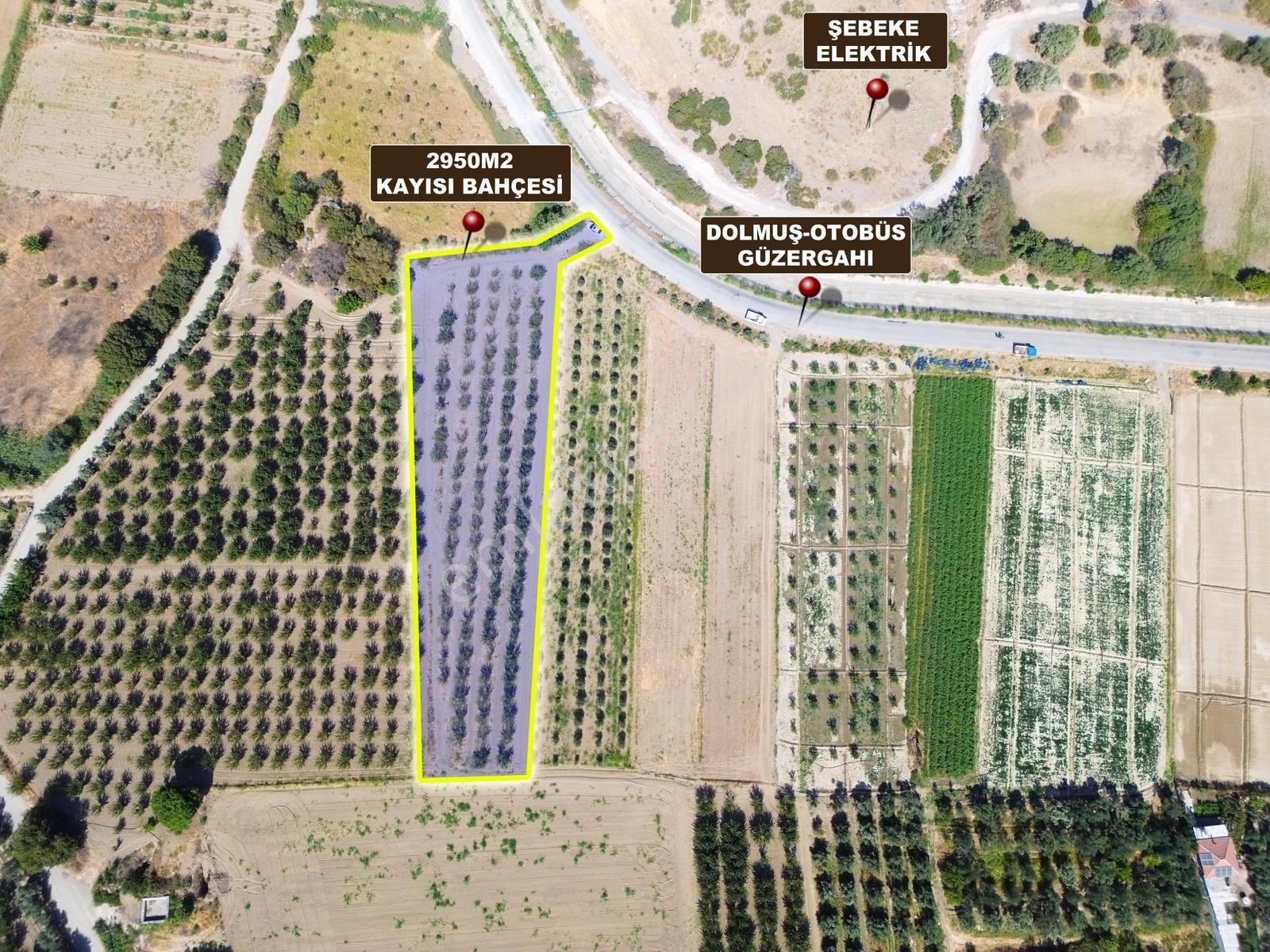 Doğaköy'de Satılık 2946m2 Kayısı Bahçesi Anayola Cepheli