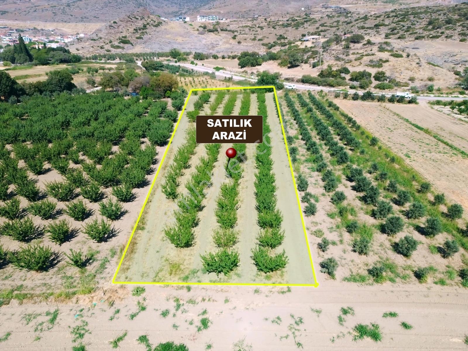 Doğaköy'de Satılık 2946m2 Kayısı Bahçesi Anayola Cepheli - Görsel 16