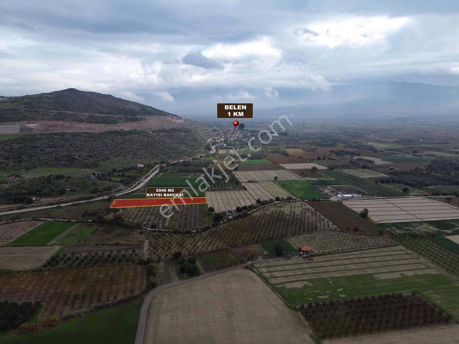 Doğaköy'de Satılık 2946m2 Kayısı Bahçesi Anayola Cepheli - Görsel 22