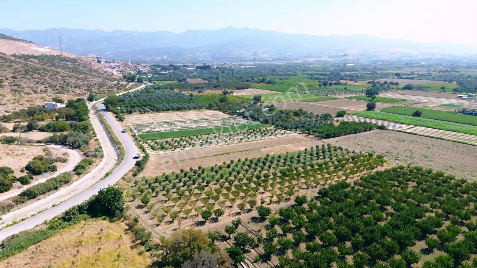 Doğaköy'de Satılık 2946m2 Kayısı Bahçesi Anayola Cepheli - Görsel 27