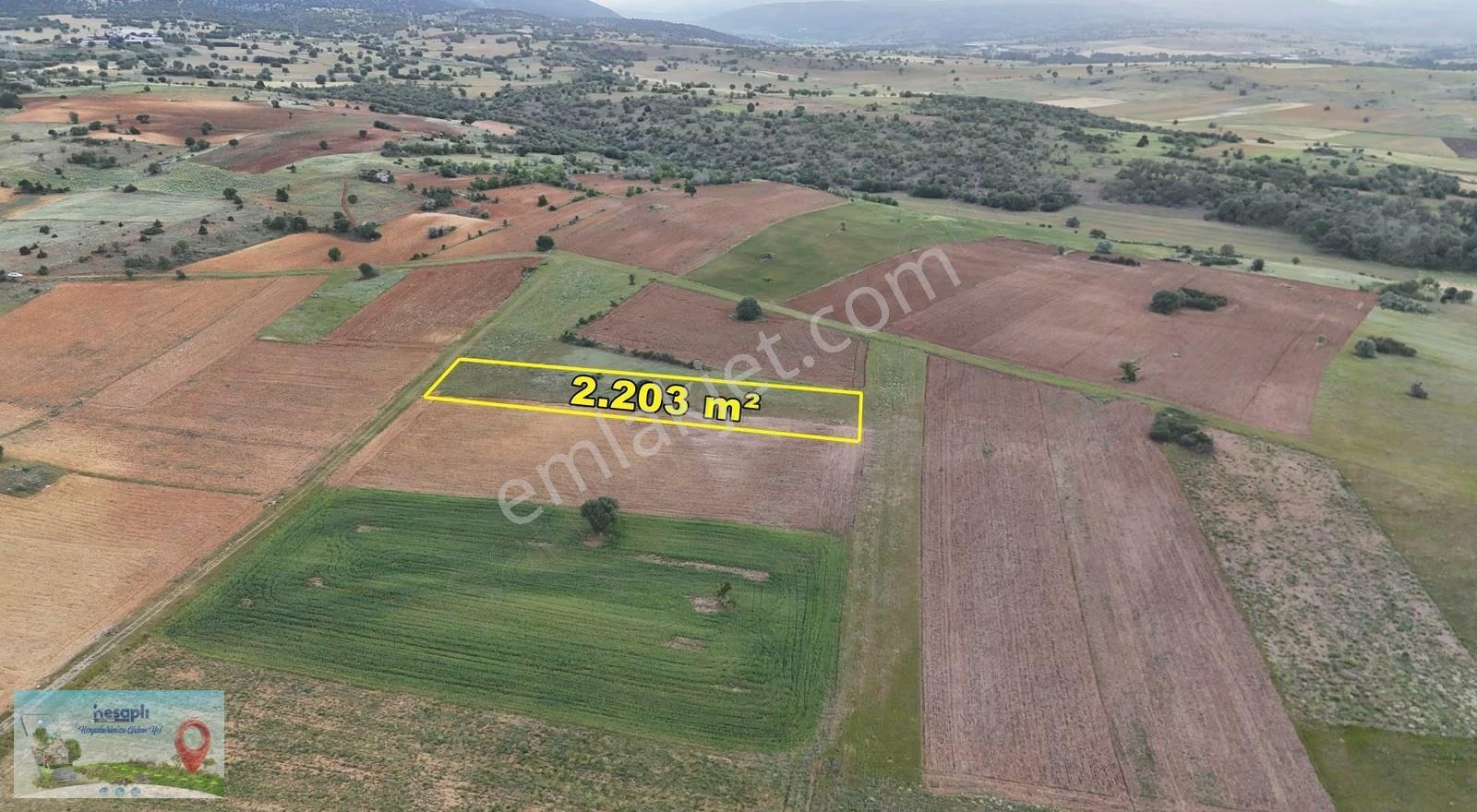 Konya / Akören / Tülce'de 2.203 M² Müstakil Tapulu Tarla - Görsel 4
