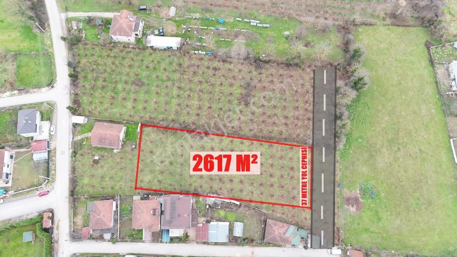 Metsa'dan Arapçiftliği Mah. 2617 M² Müstakil Parsel - Görsel 11