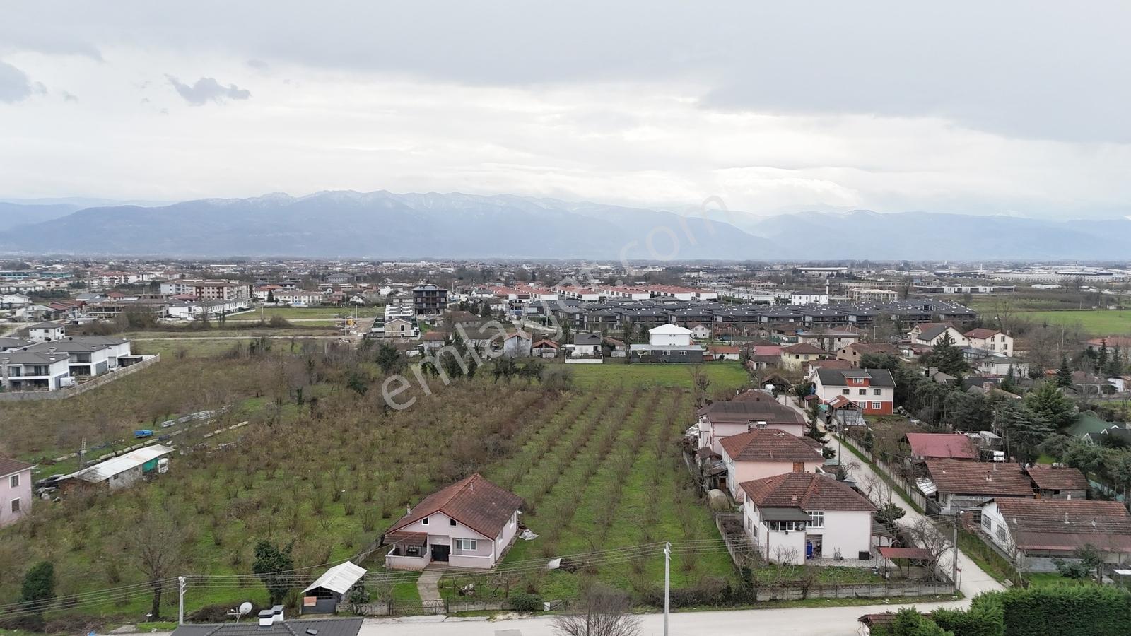 Metsa'dan Arapçiftliği Mah. 2617 M² Müstakil Parsel - Görsel 16