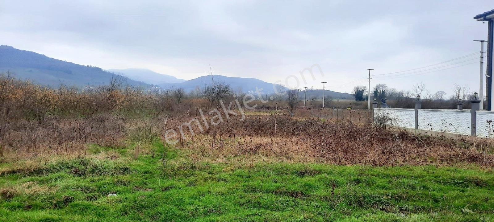 Metsa'dan Cumayeri Yeni Mahallede 1000 M² Satılık Arsa - Görsel 15