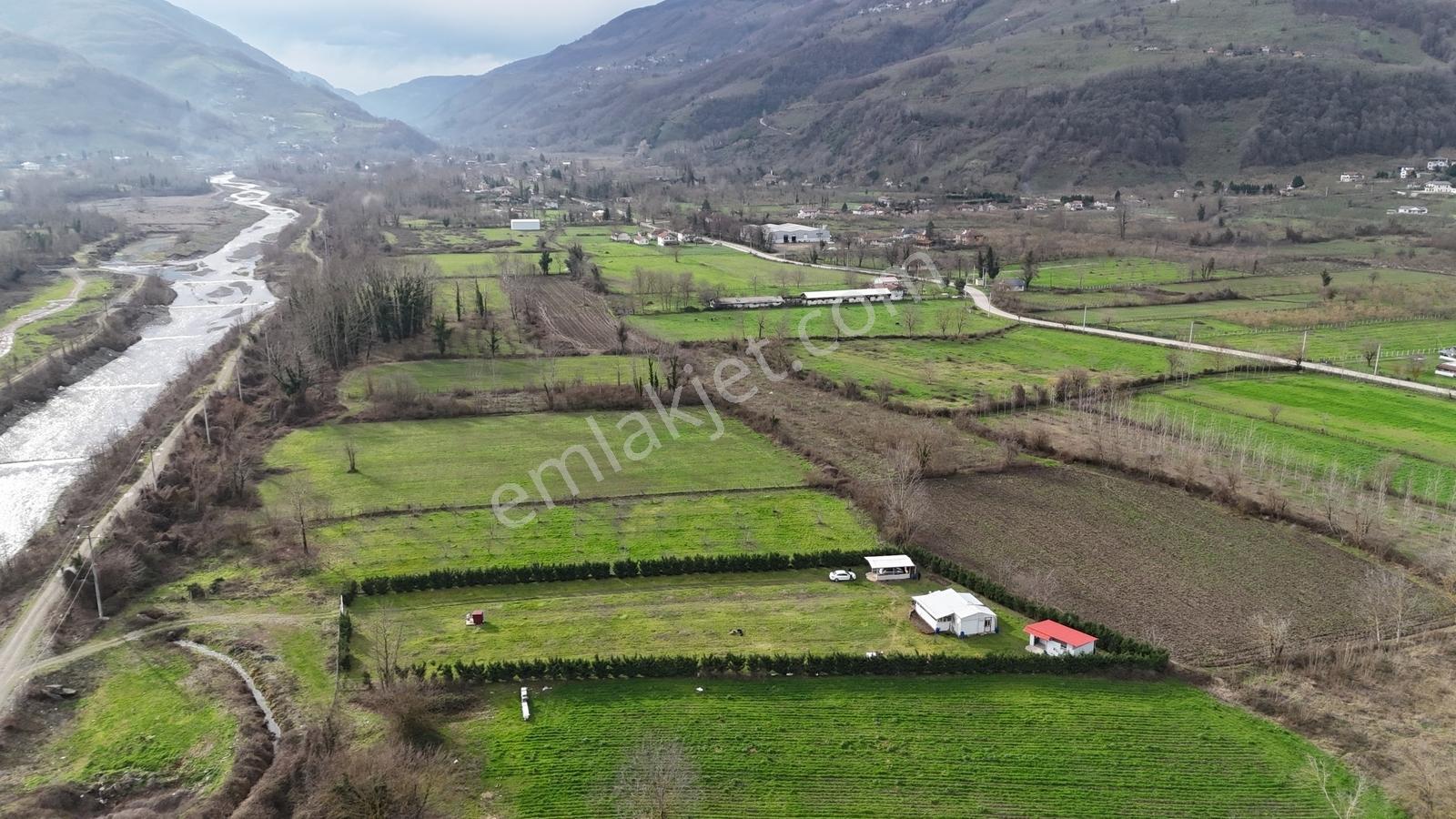 Metsa'dan Gölyaka Aksuda İçinde Ev Olan 3653 M2 Satılık Arazi - Görsel 22