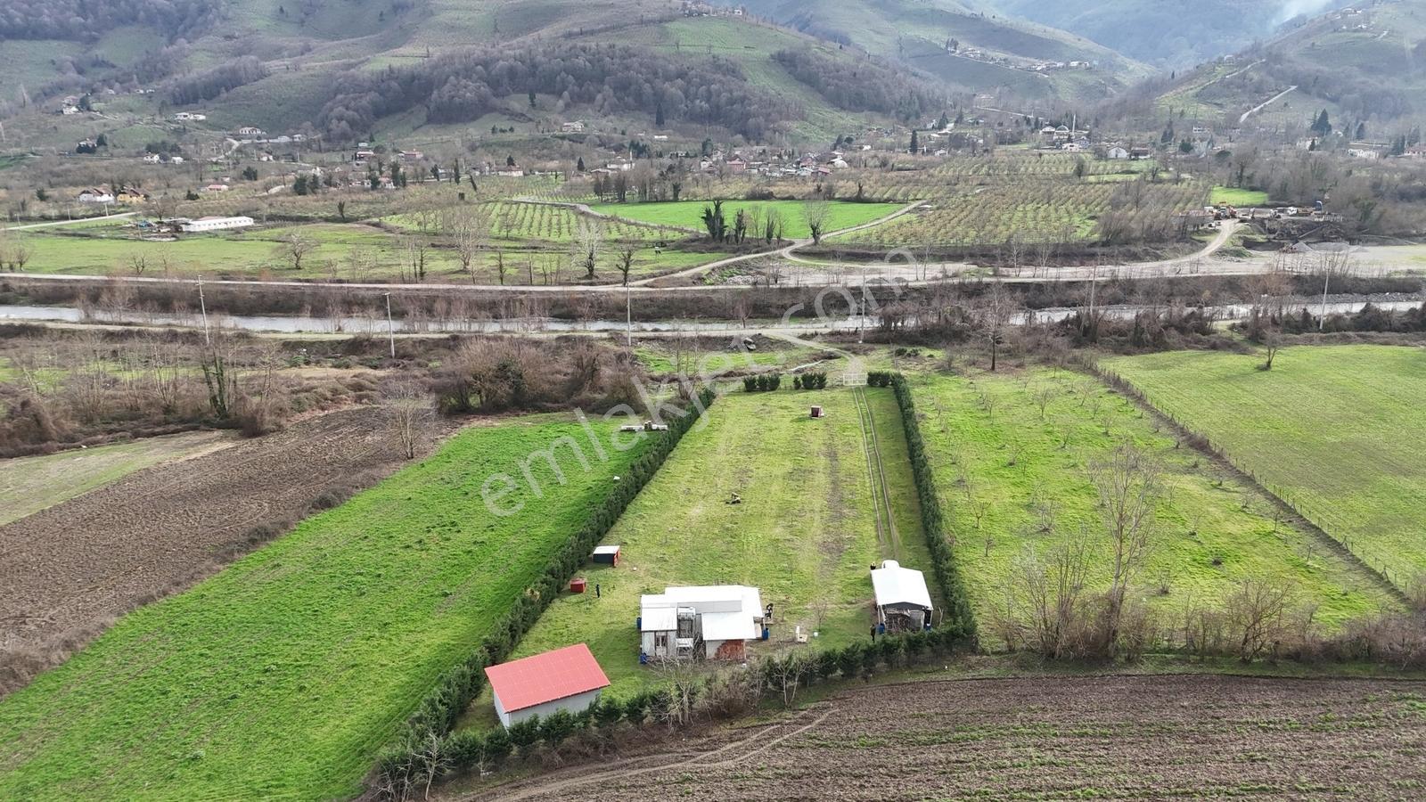 Metsa'dan Gölyaka Aksuda İçinde Ev Olan 3653 M2 Satılık Arazi - Görsel 15