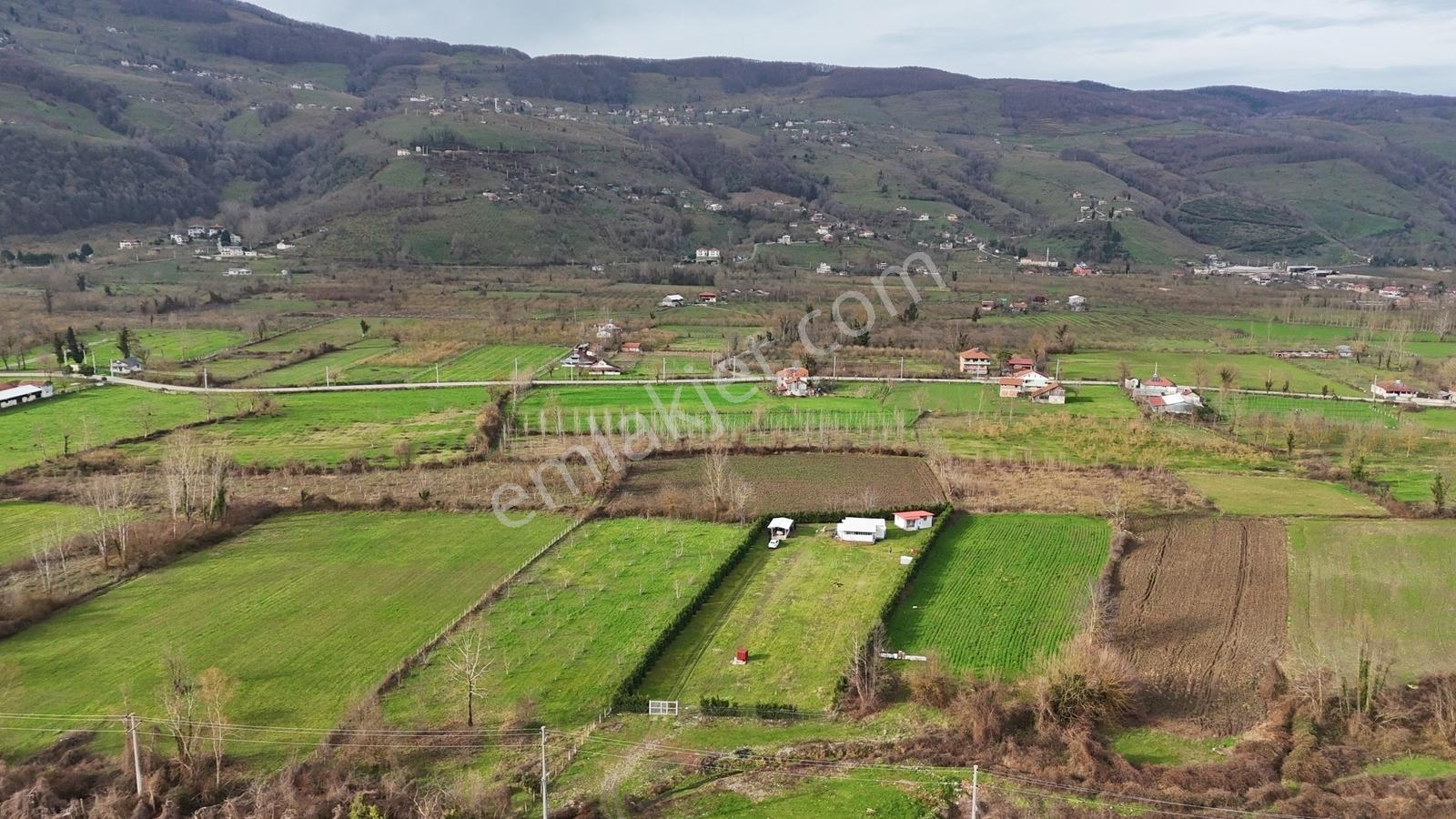 Metsa'dan Gölyaka Aksuda İçinde Ev Olan 3653 M2 Satılık Arazi - Görsel 17