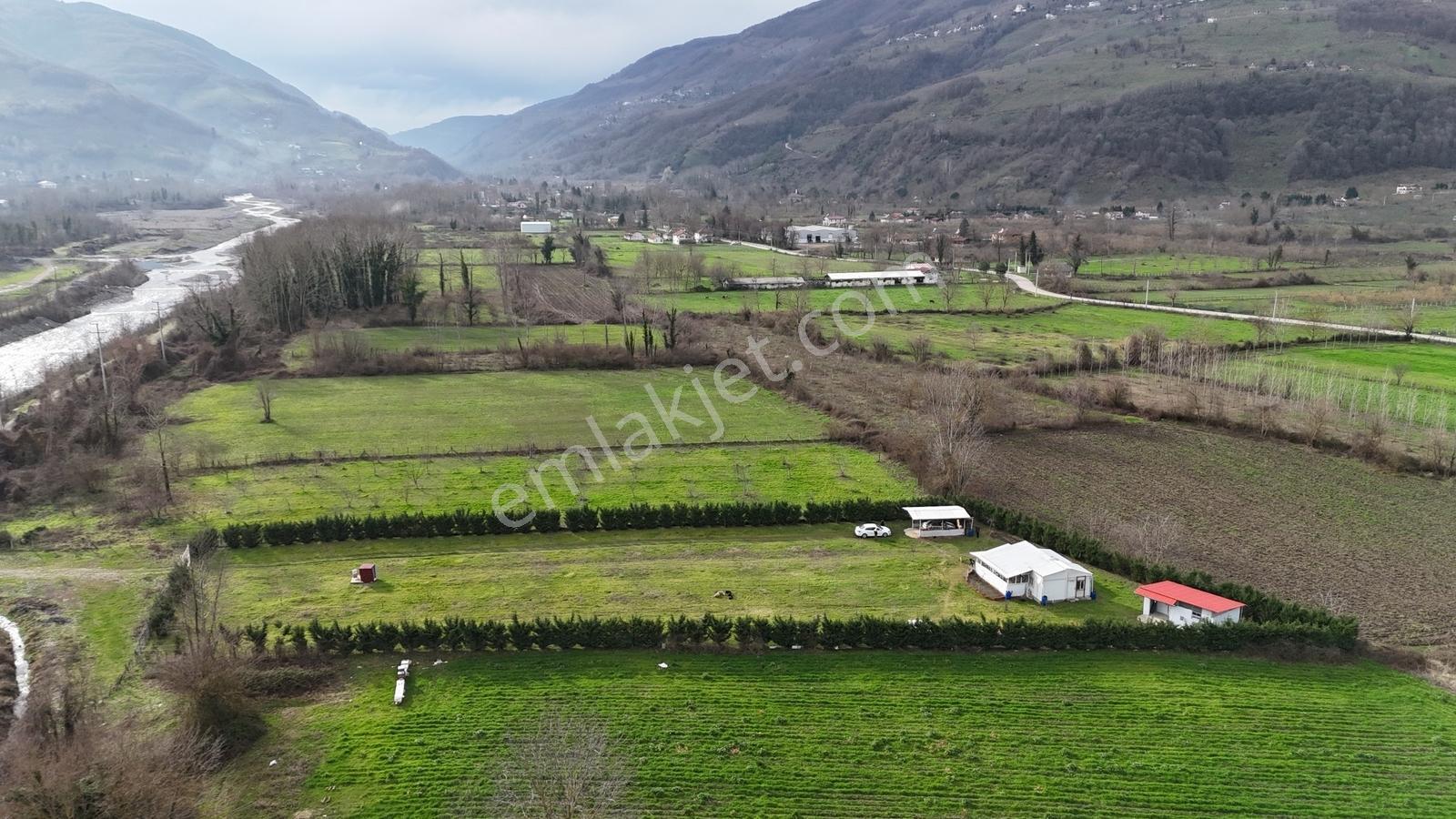 Metsa'dan Gölyaka Aksuda İçinde Ev Olan 3653 M2 Satılık Arazi - Görsel 21
