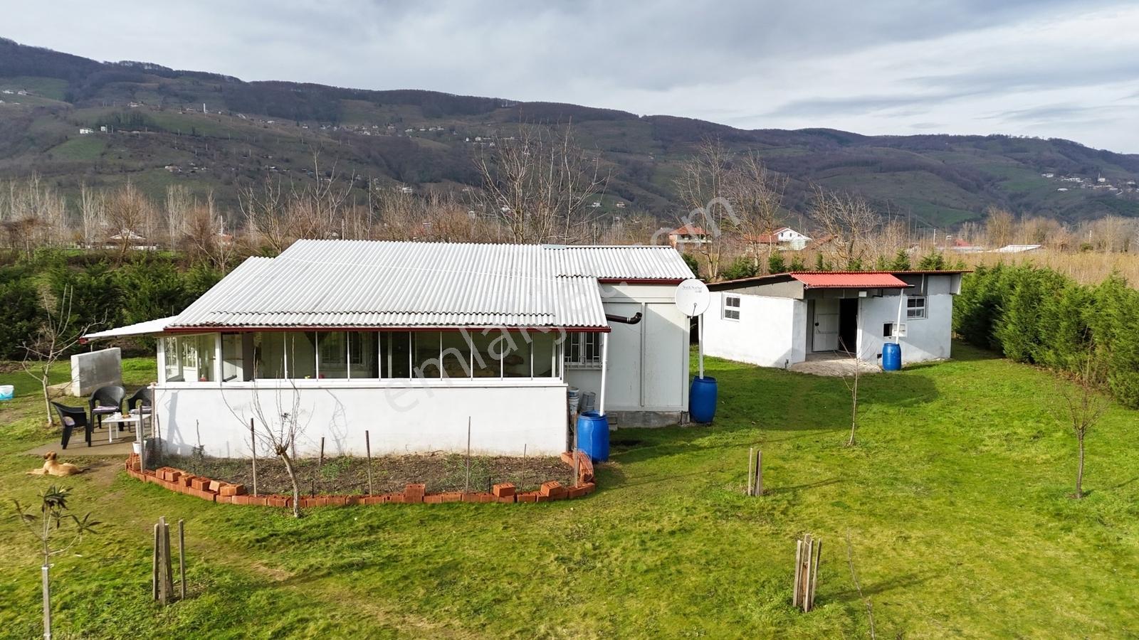 Metsa'dan Gölyaka Aksuda İçinde Ev Olan 3653 M2 Satılık Arazi - Görsel 2