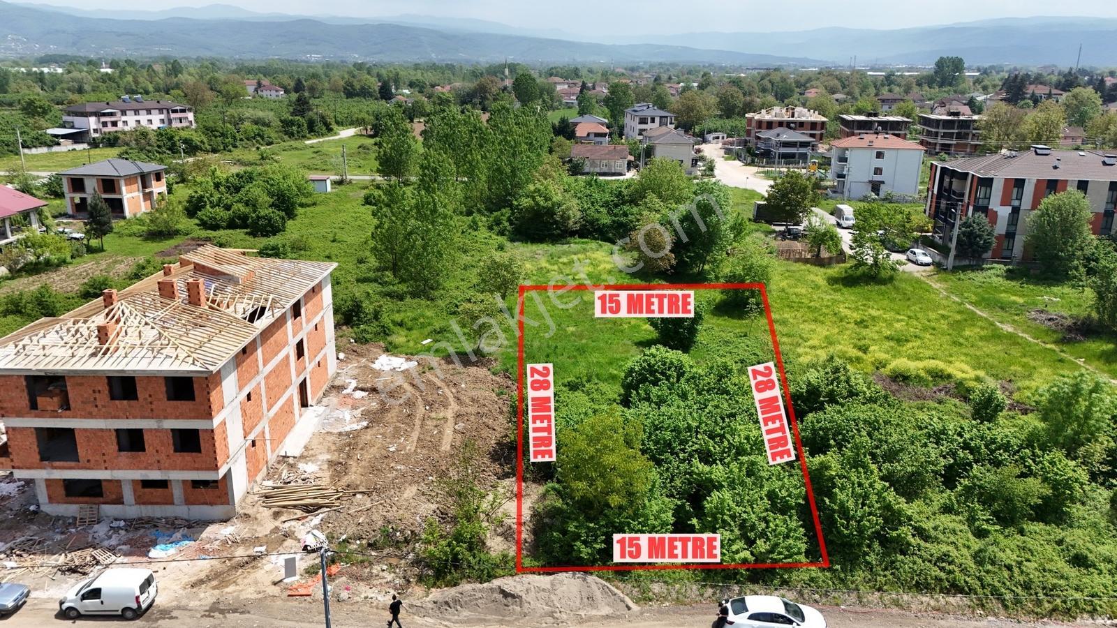 Kw Metsa'dan Dereli Tütüncü Mahallesinde Satılık Arsa - Görsel 2