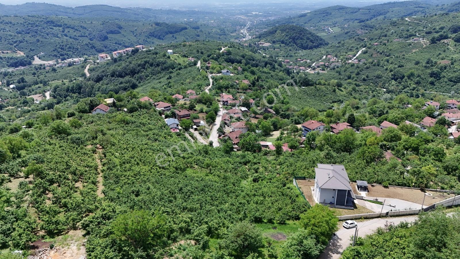 Kw Metsa'dan Full Düzce Manzaralı Satılık Arsa - Görsel 17
