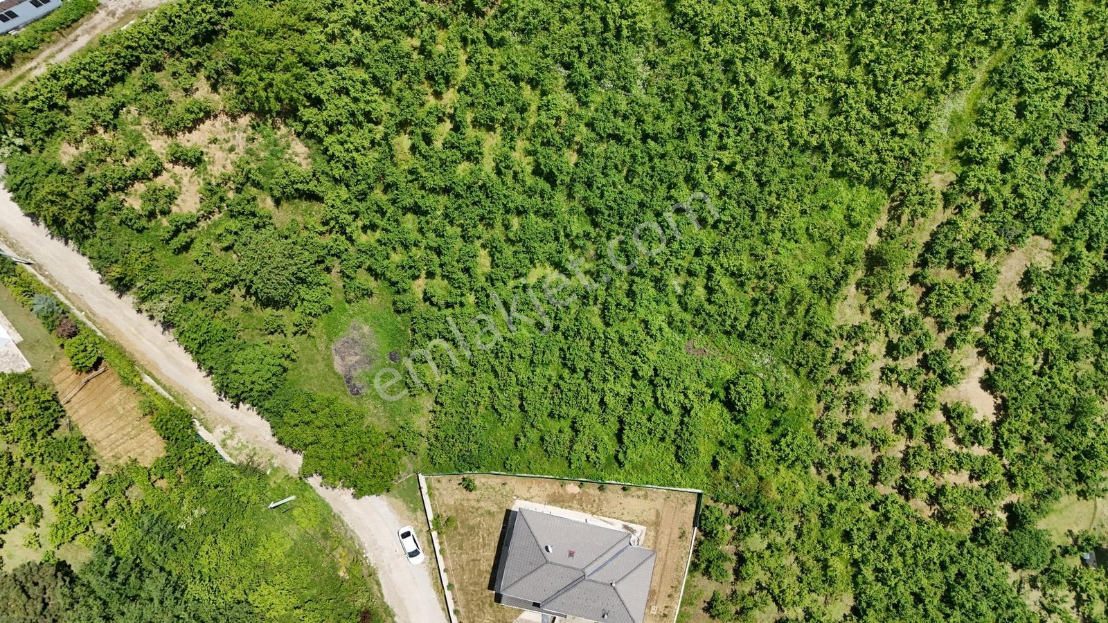 Kw Metsa'dan Full Düzce Manzaralı Satılık Arsa - Görsel 23