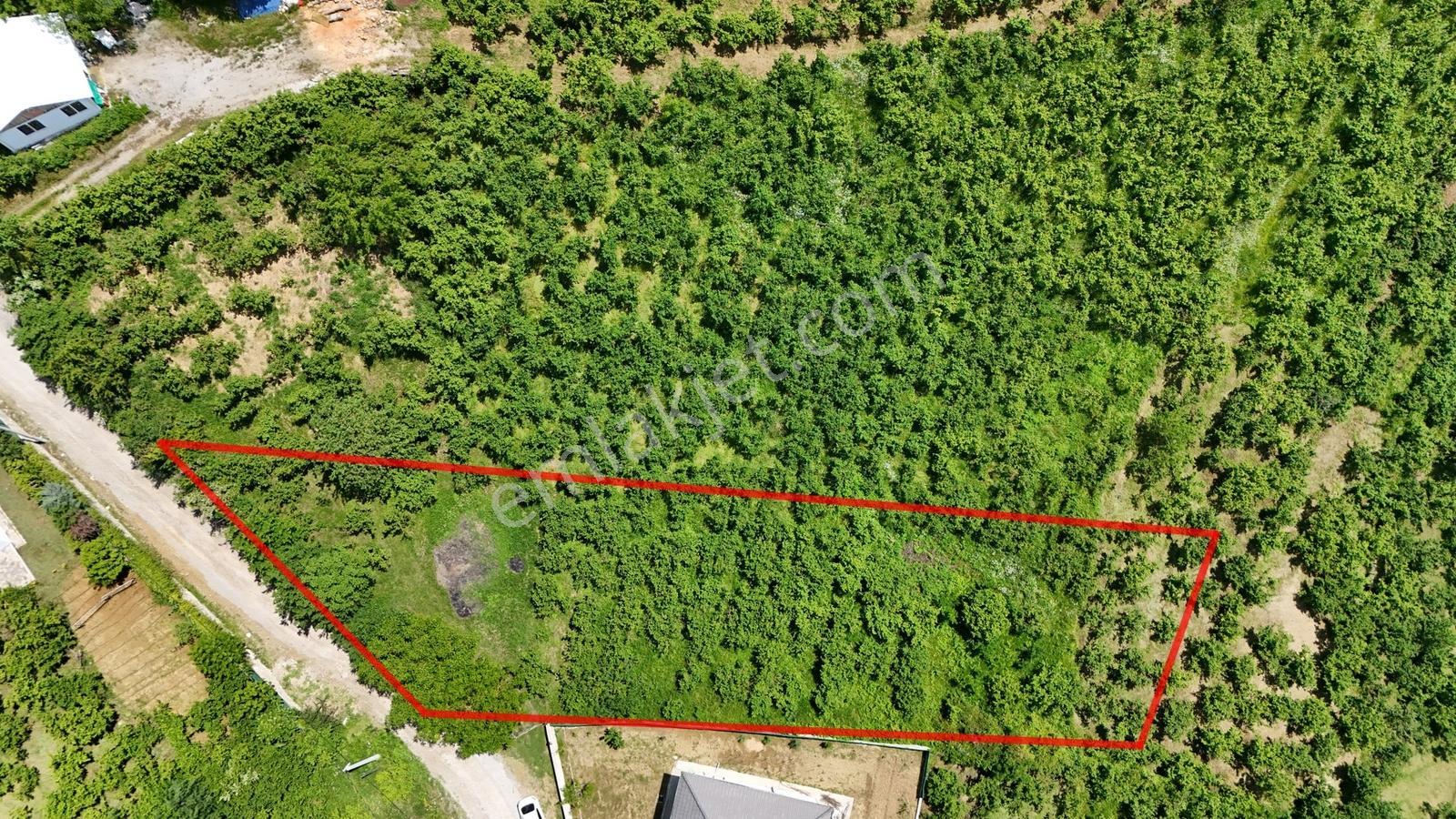 Kw Metsa'dan Full Düzce Manzaralı Satılık Arsa - Görsel 7