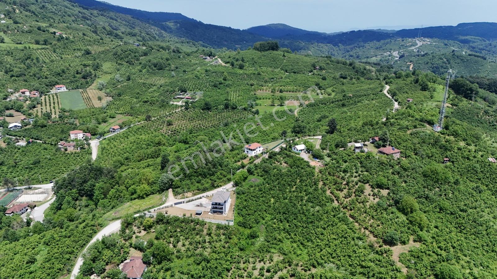 Kw Metsa'dan Full Düzce Manzaralı Satılık Arsa - Görsel 31