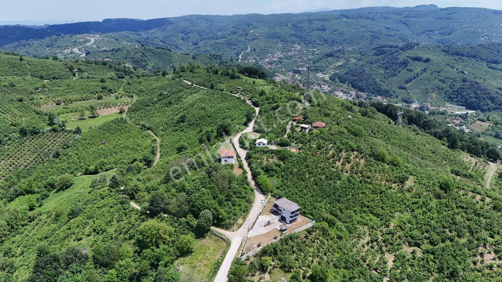 Kw Metsa'dan Full Düzce Manzaralı Satılık Arsa - Görsel 22