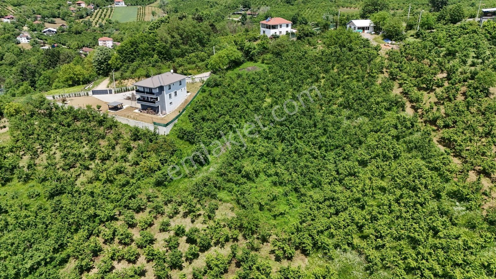 Kw Metsa'dan Full Düzce Manzaralı Satılık Arsa - Görsel 29