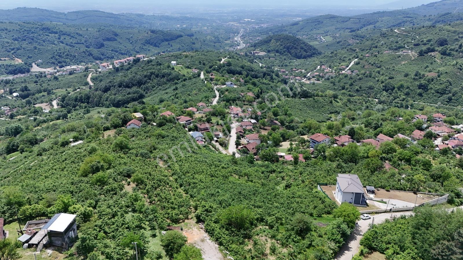 Kw Metsa'dan Full Düzce Manzaralı Satılık Arsa - Görsel 3