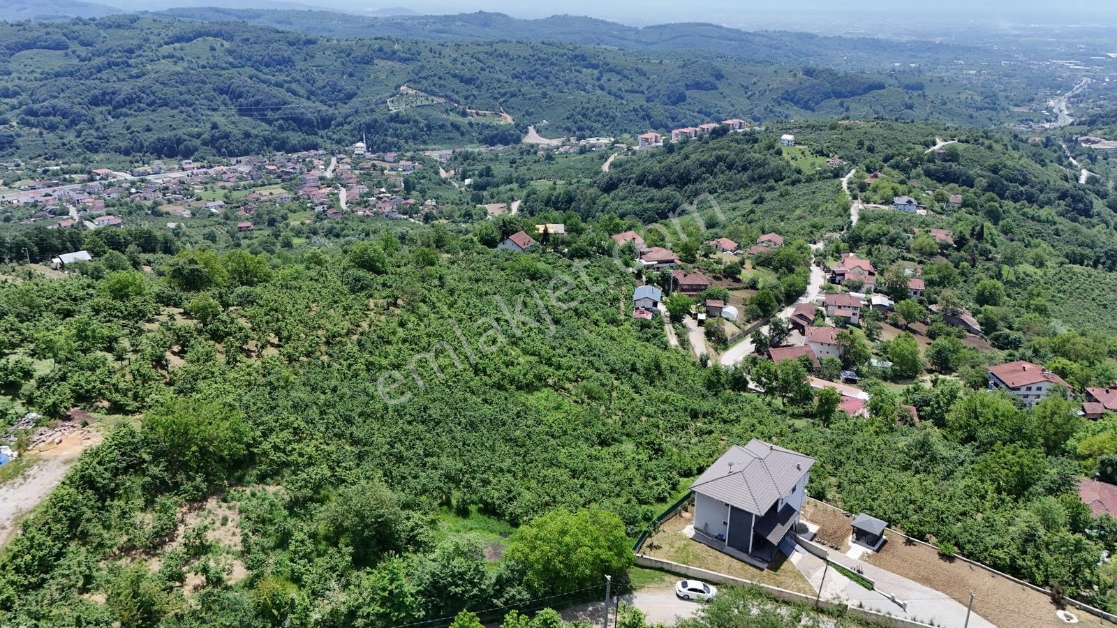 Kw Metsa'dan Full Düzce Manzaralı Satılık Arsa - Görsel 15