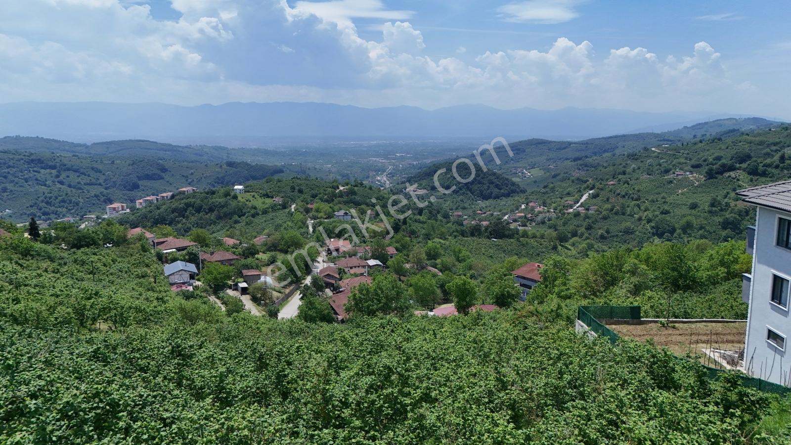 Kw Metsa'dan Full Düzce Manzaralı Satılık Arsa - Görsel 32