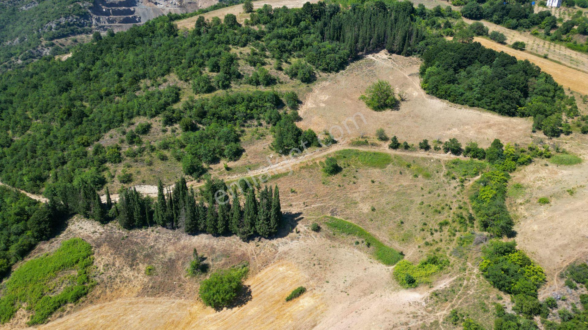 Kocaeli Karamürsel İnebeyli 9.528 M2 Satılık Tarla - Görsel 19