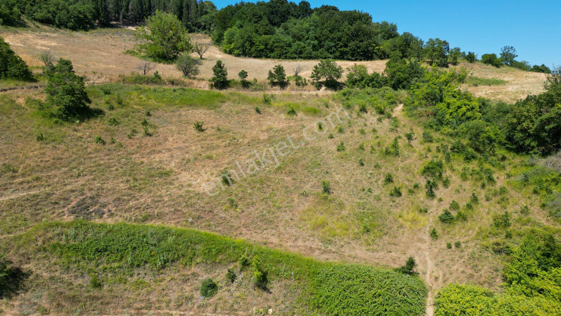 Kocaeli Karamürsel İnebeyli 9.528 M2 Satılık Tarla - Görsel 11