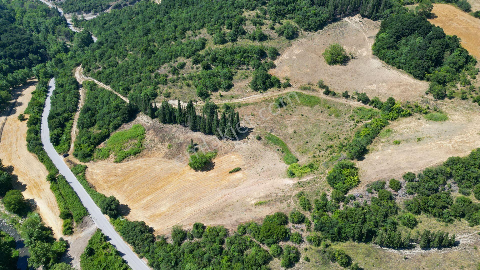 Kocaeli Karamürsel İnebeyli 9.528 M2 Satılık Tarla - Görsel 21