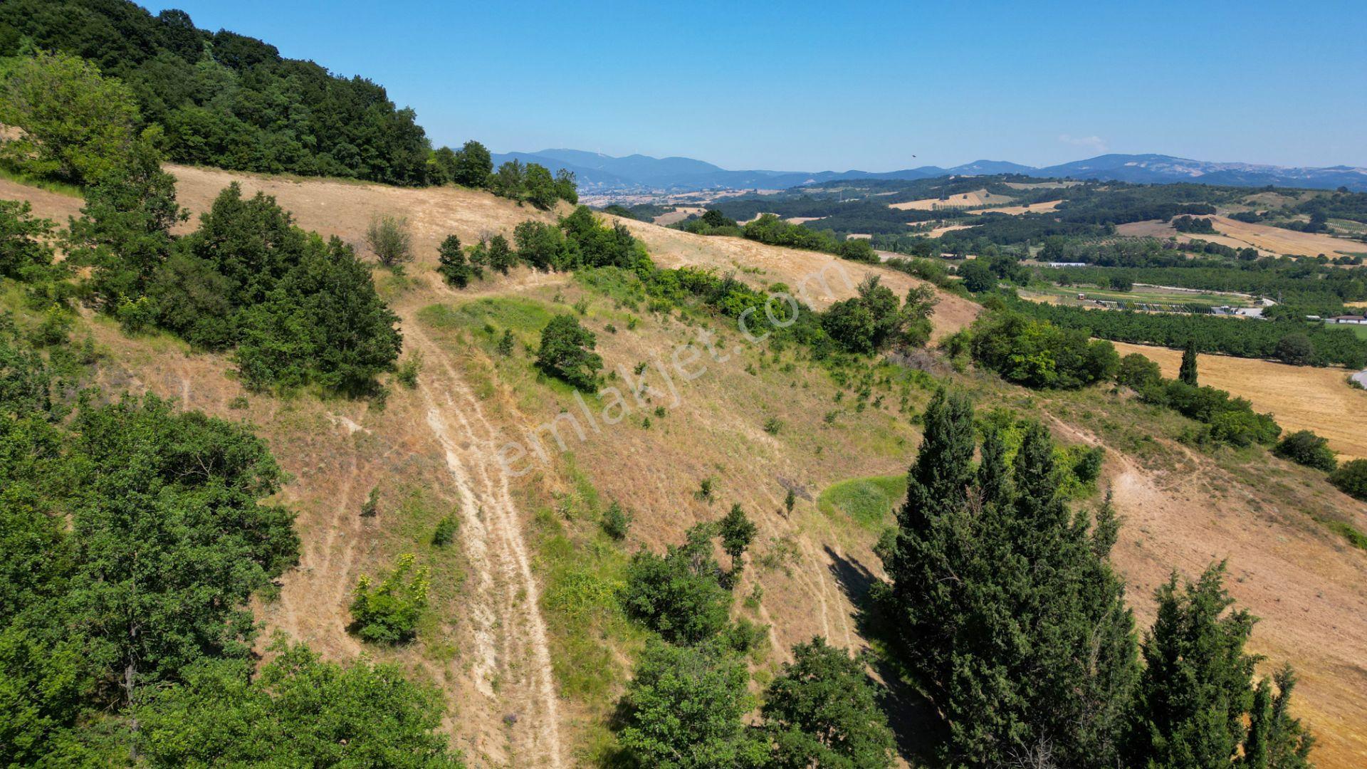 Kocaeli Karamürsel İnebeyli 9.528 M2 Satılık Tarla - Görsel 15