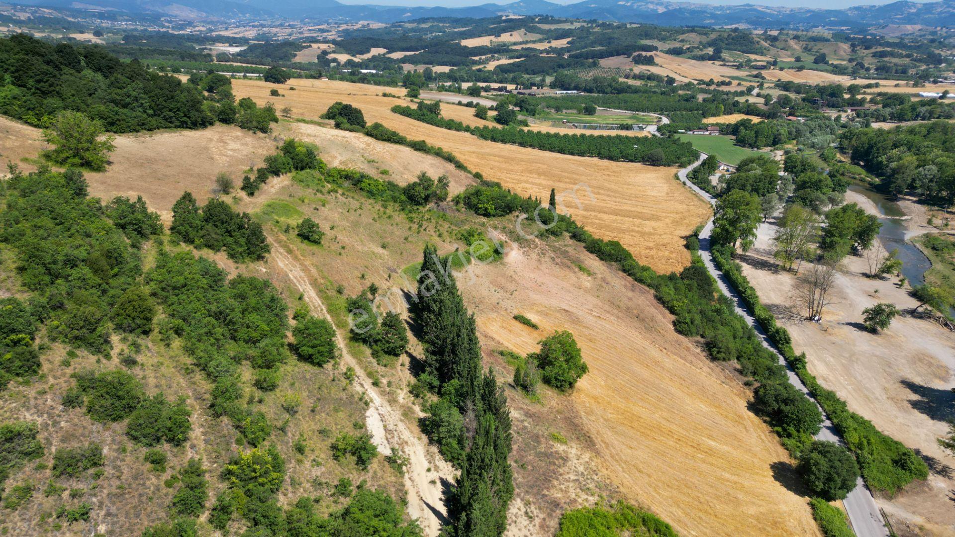 Kocaeli Karamürsel İnebeyli 9.528 M2 Satılık Tarla - Görsel 14