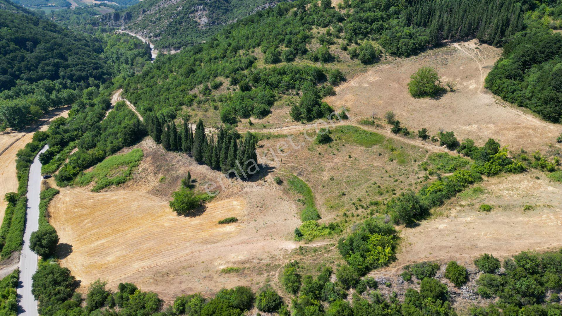 Kocaeli Karamürsel İnebeyli 9.528 M2 Satılık Tarla - Görsel 3