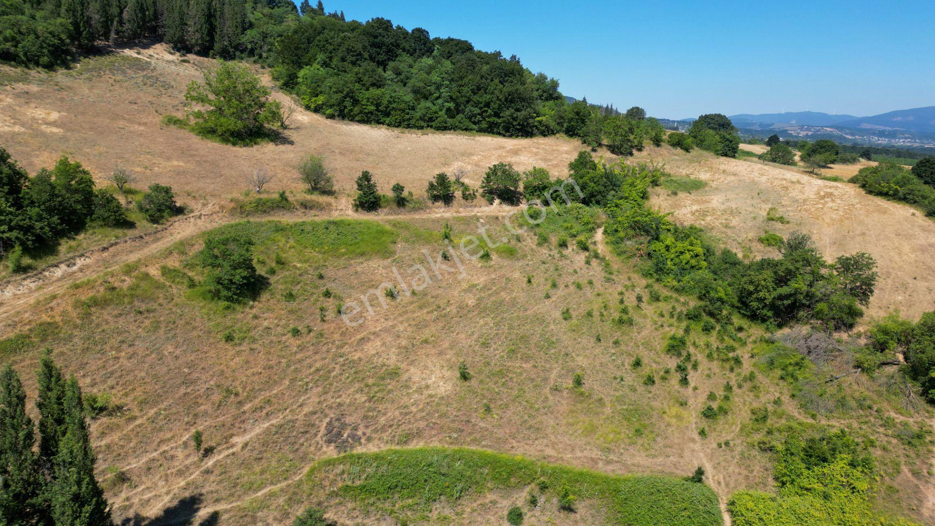 Kocaeli Karamürsel İnebeyli 9.528 M2 Satılık Tarla - Görsel 17