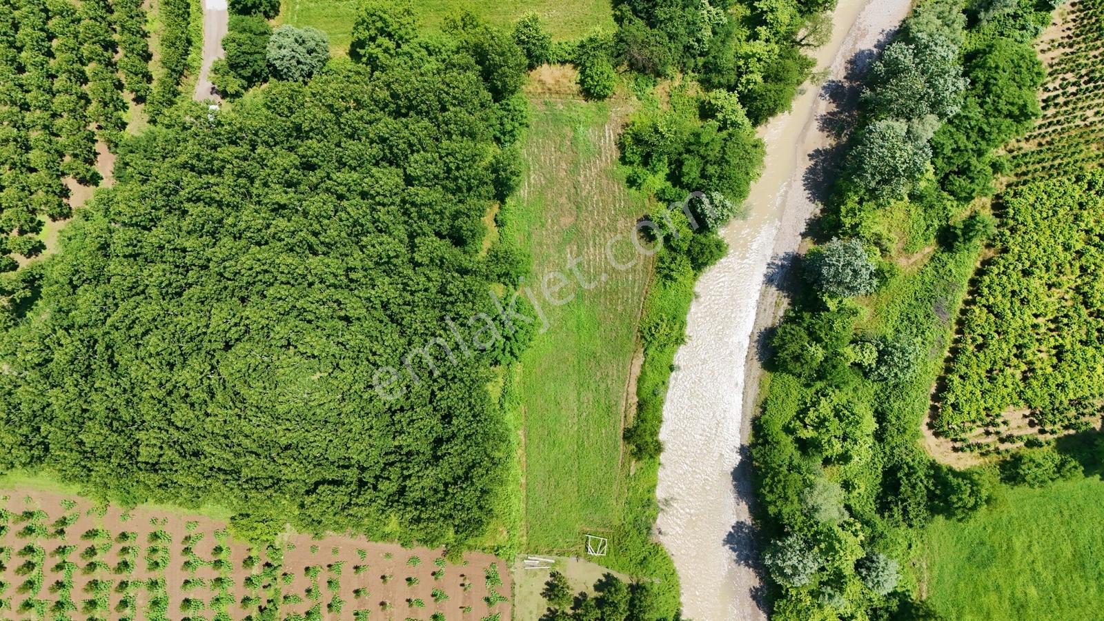 Kw Metsa'dan Düzce Merkez Çerkez Ballıca'dan Satılık Arsa - Görsel 15