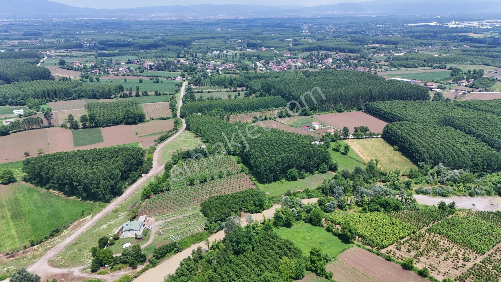 Kw Metsa'dan Düzce Merkez Çerkez Ballıca'dan Satılık Arsa - Görsel 12