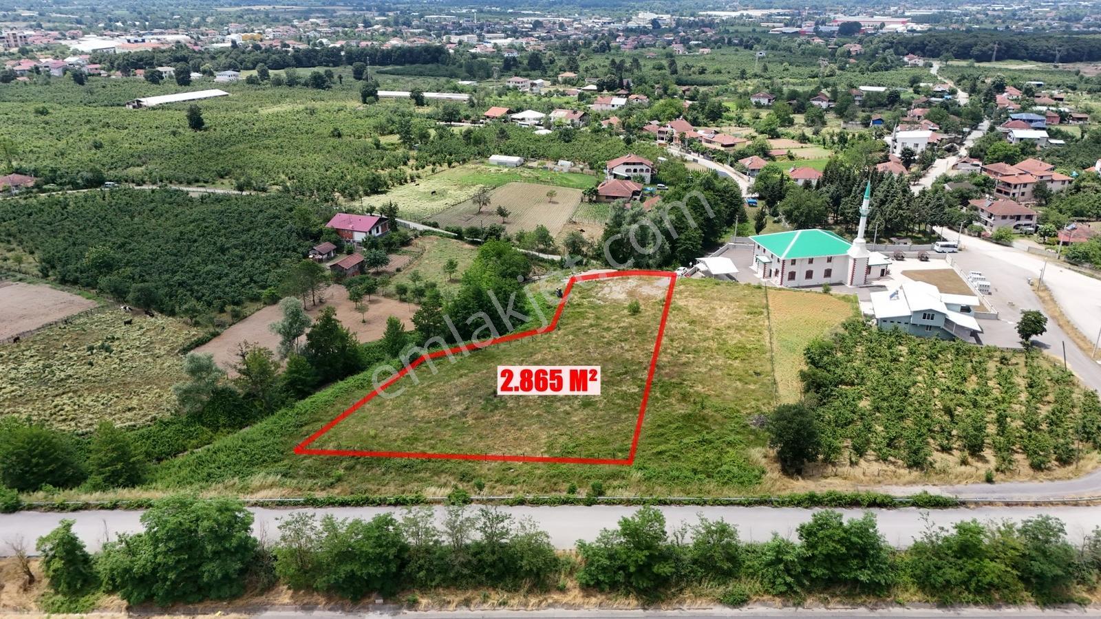 Kw Metsa'dan Düzce Merkez Yeşilçam Köyünde Satılık İmarlı Arsa - Görsel 8