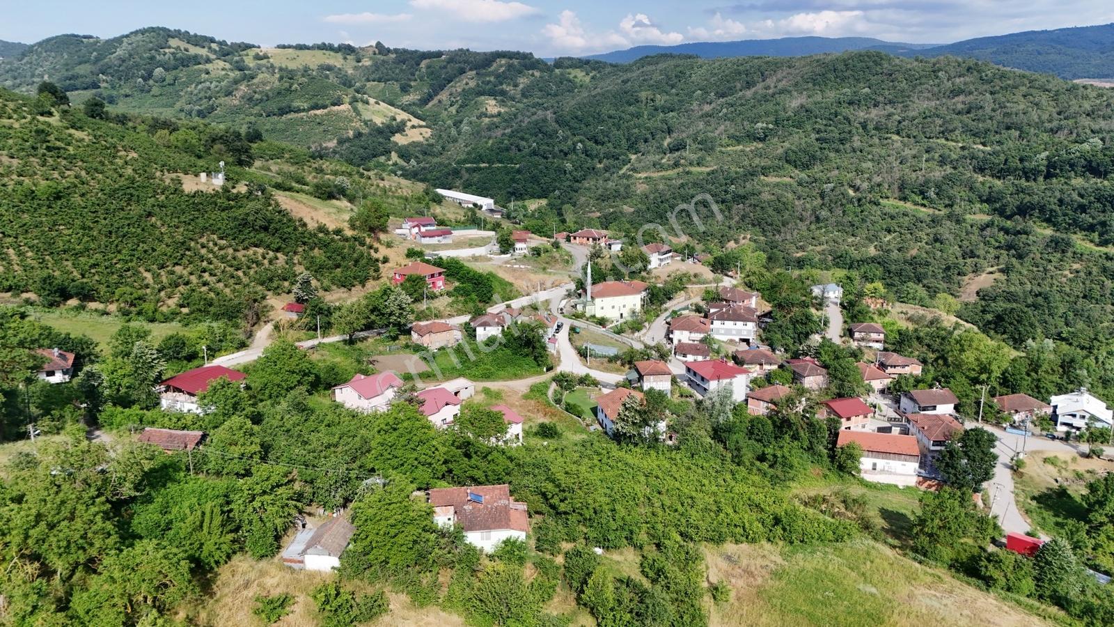 Kw Metsa'dan Nuhlar Köyünde Satılık Parseller - Görsel 2