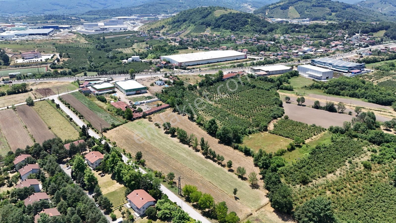 Kw Metsa'dan Gümüşova Pakmaya Önü 4.989 M² Satılık Arsa - Görsel 14