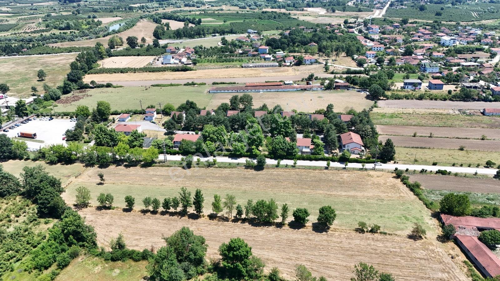 Kw Metsa'dan Gümüşova Pakmaya Önü 4.989 M² Satılık Arsa - Görsel 12