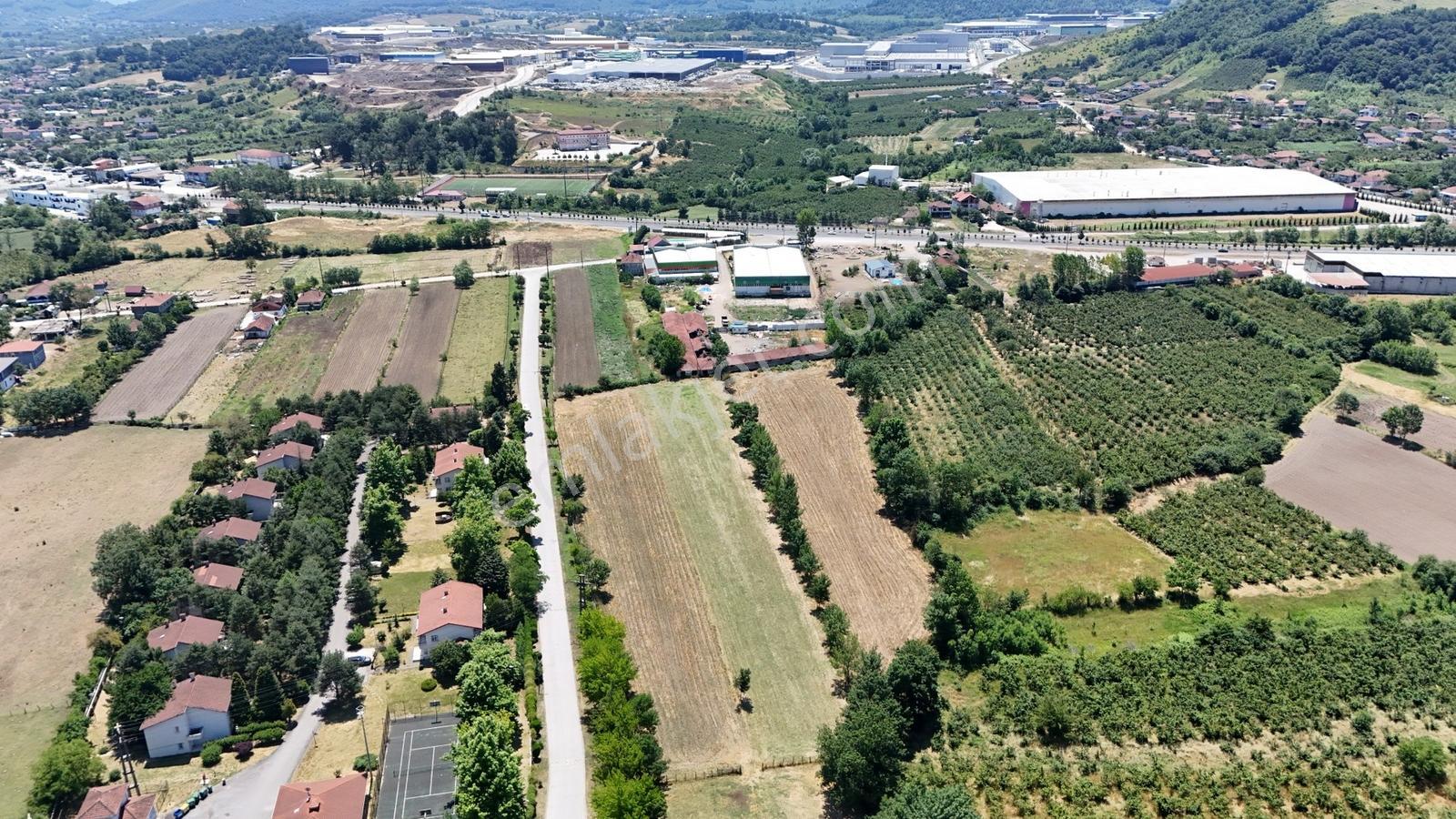 Kw Metsa'dan Gümüşova Pakmaya Önü 4.989 M² Satılık Arsa - Görsel 20