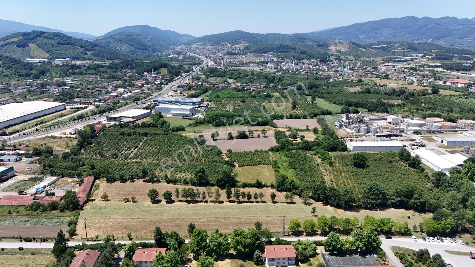 Kw Metsa'dan Gümüşova Pakmaya Önü 4.989 M² Satılık Arsa - Görsel 15