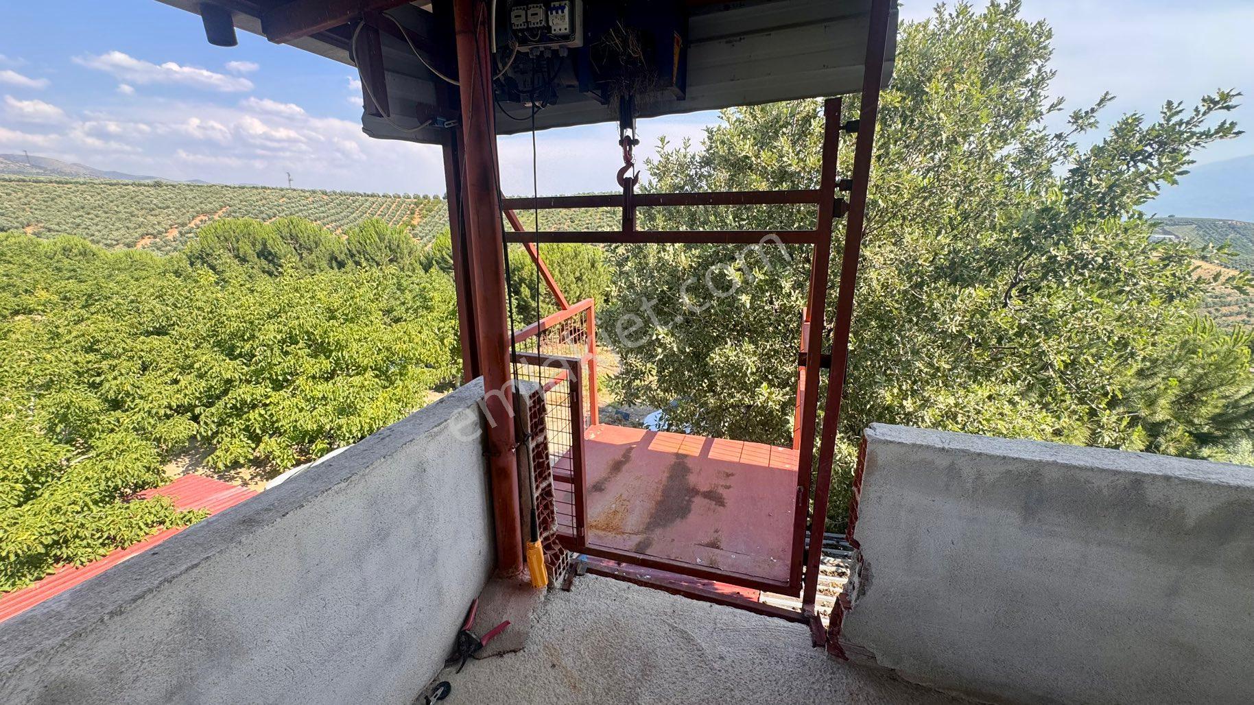 Satılık 283 Dönüm Zeytin Üretim Tesisi - Görsel 38
