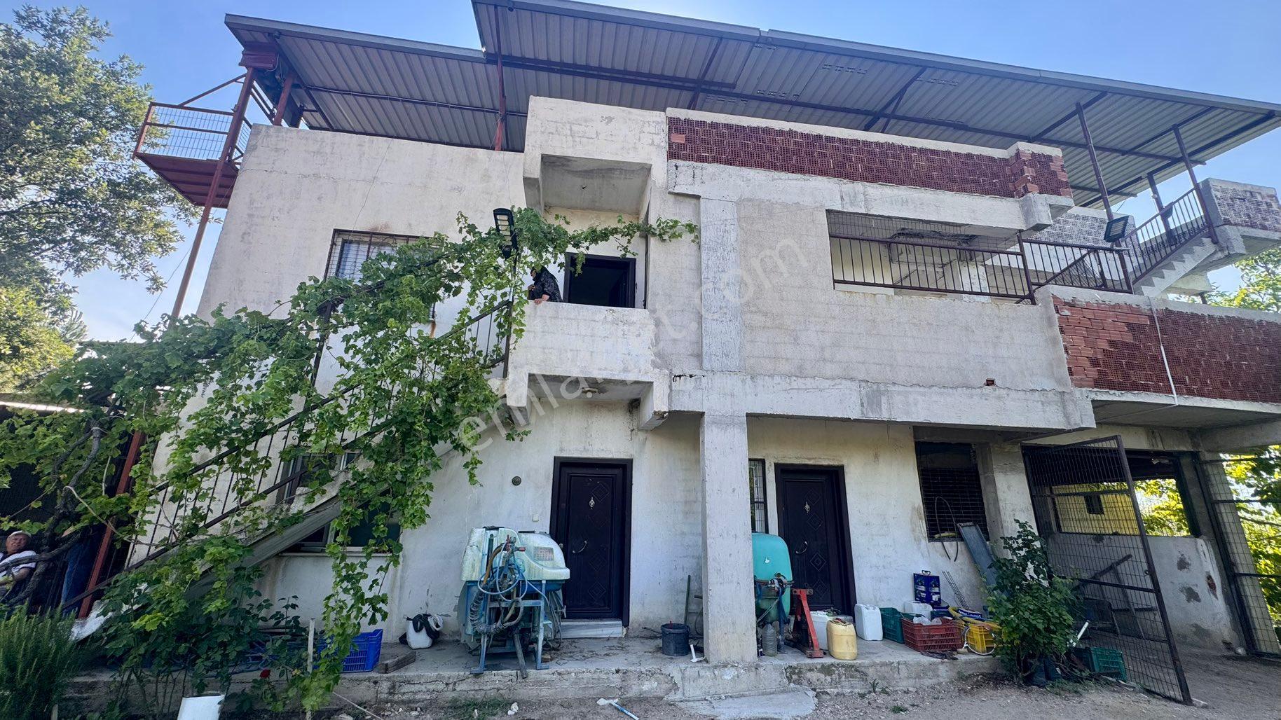Satılık 283 Dönüm Zeytin Üretim Tesisi - Görsel 33