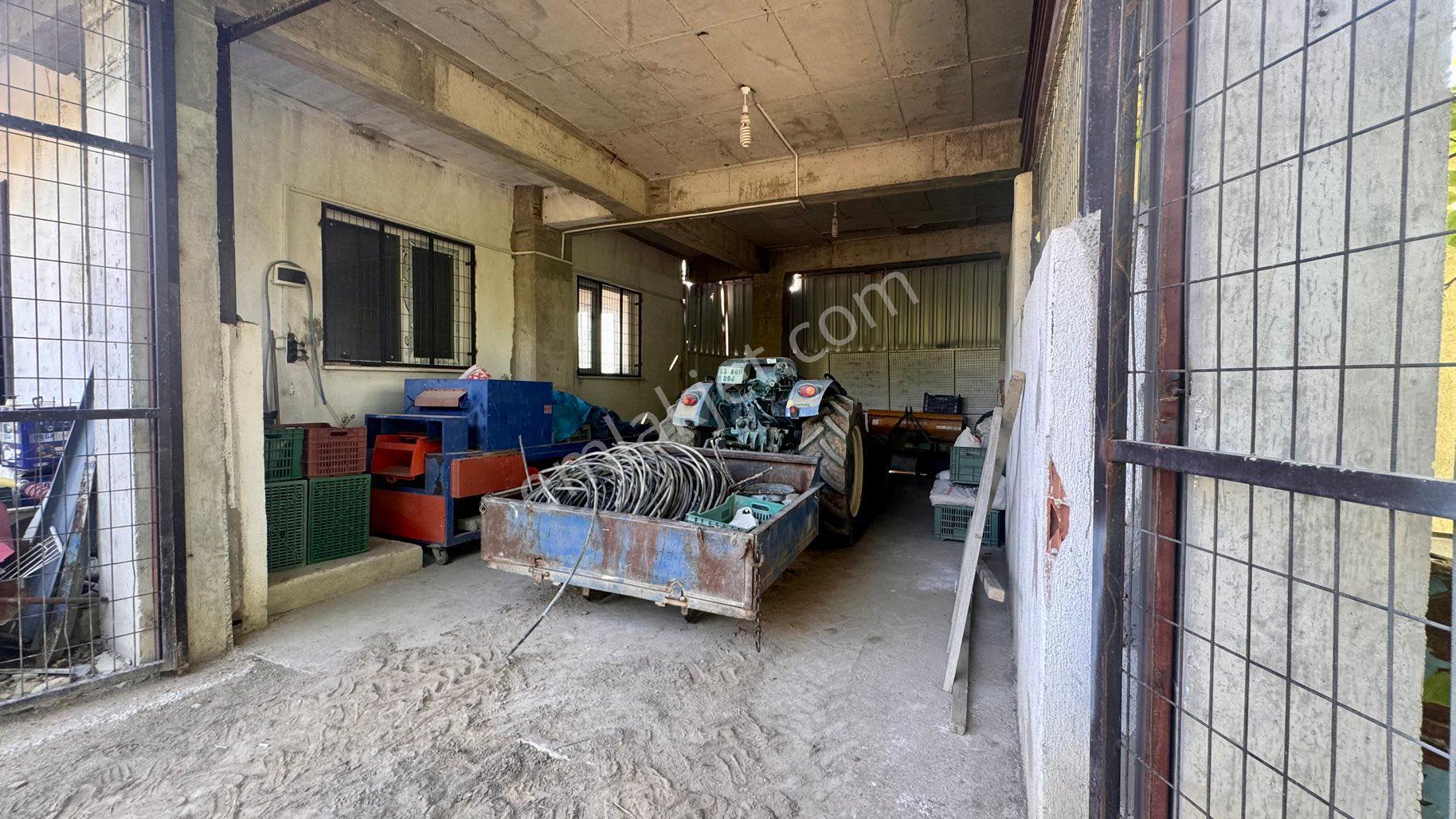 Satılık 283 Dönüm Zeytin Üretim Tesisi - Görsel 36