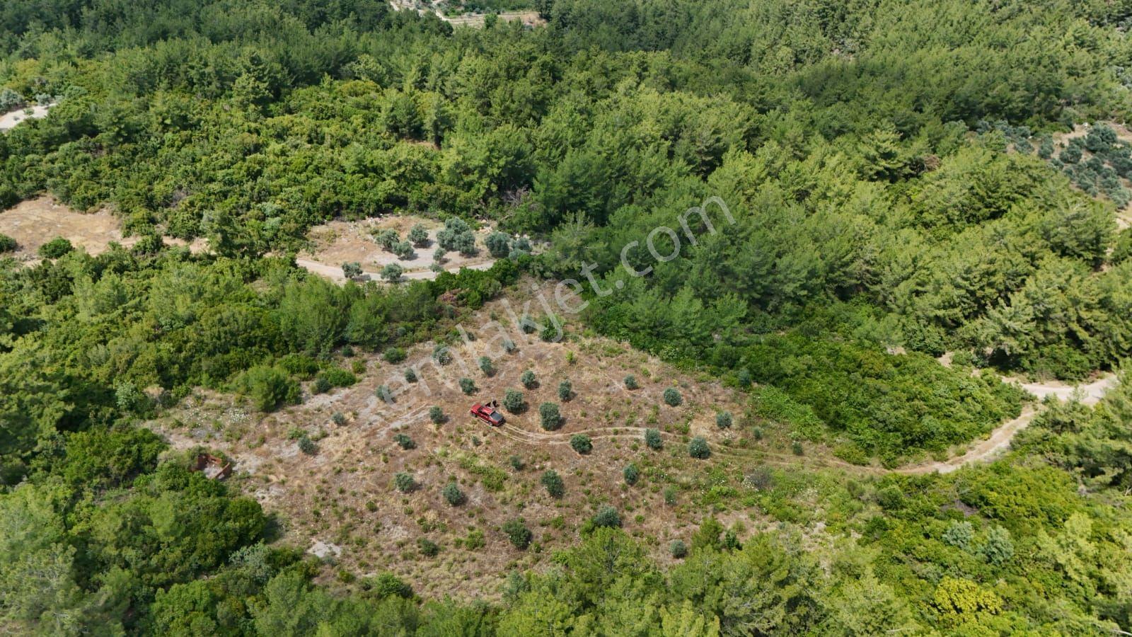 Muğla / Menteşe/ Dağpınar Mahallesi 3.009 M2 Tarla Denize 15 Km Kolay Ulaşım - Görsel 4