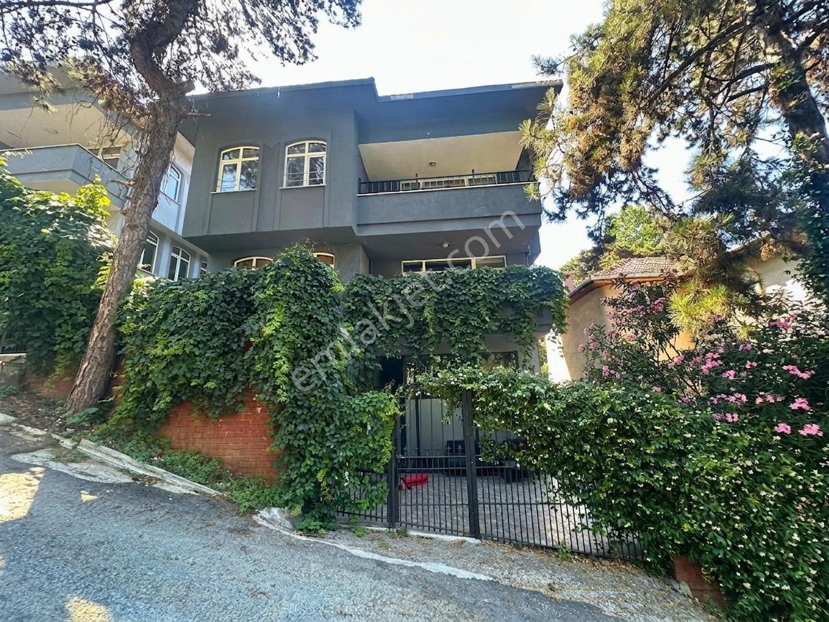 Tarabyada Değerli Arsasıyla Öne Çıkan 7+2 Müstakil Villa - Görsel 3