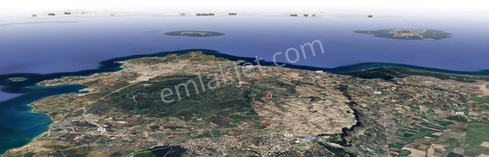 Akyeniköyde Kaçırılmayacak Fırsat! 22.5 Dönüm Zeytinlik - Görsel 2
