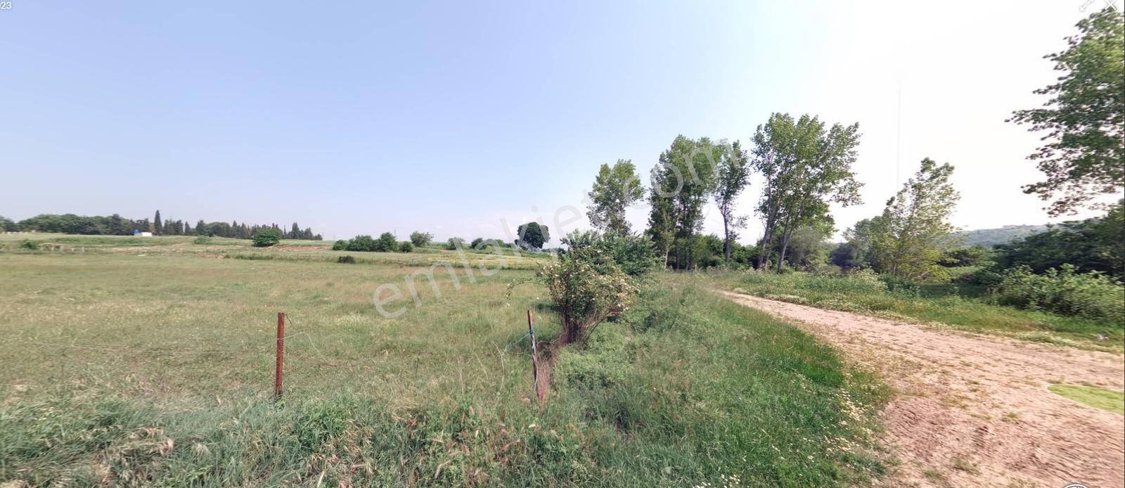 Teknosab Dibinde Doğa İle İç İçe Villa İmarlı Arsa - Görsel 6