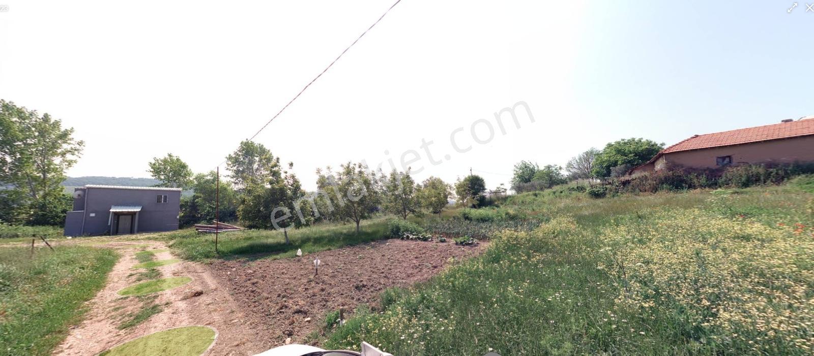 Teknosab Dibinde Doğa İle İç İçe Villa İmarlı Arsa - Görsel 4