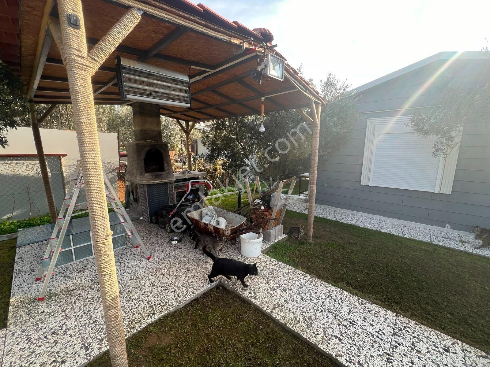 Foça Yenibağarasında Doğayla İç İçe Yaşam Alanı - Görsel 6