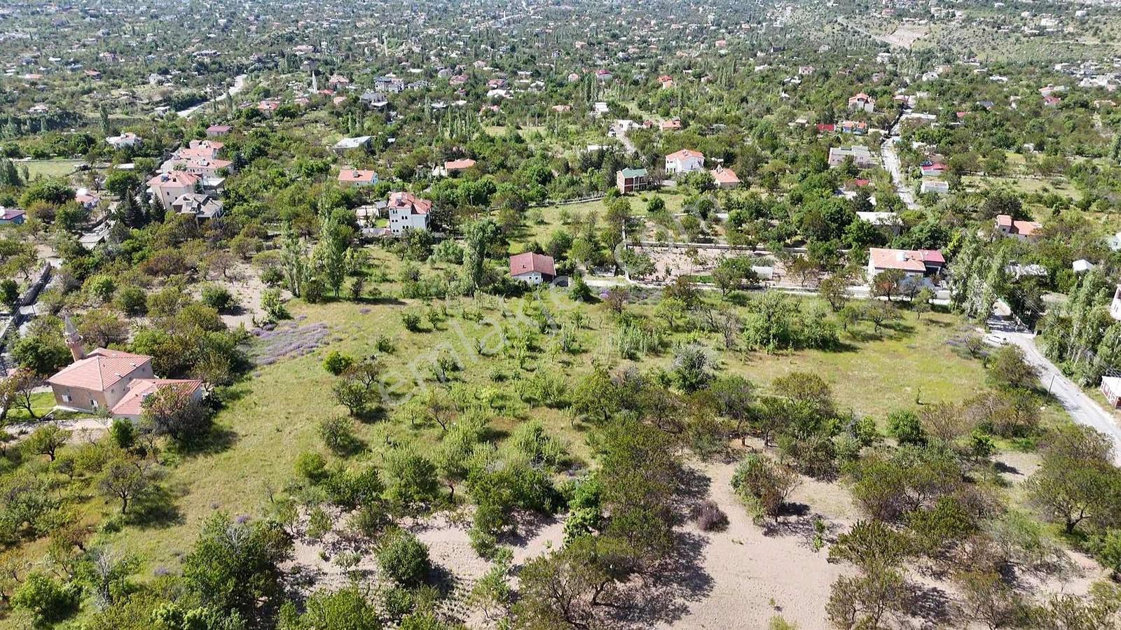 Hacılar Yediağaç 1000 M2 Temiz Parsel - Görsel 2