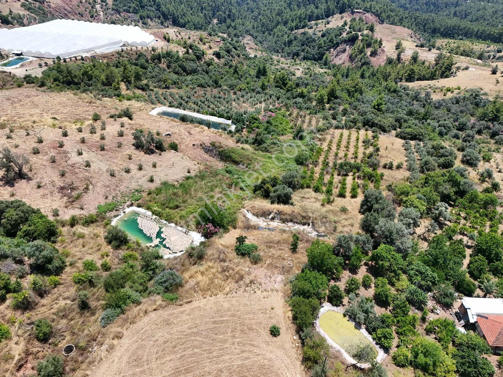 Acil Satılık! Kumluca Güzören'de Deniz Manzaralı Tek Tapu Arsa - Görsel 15